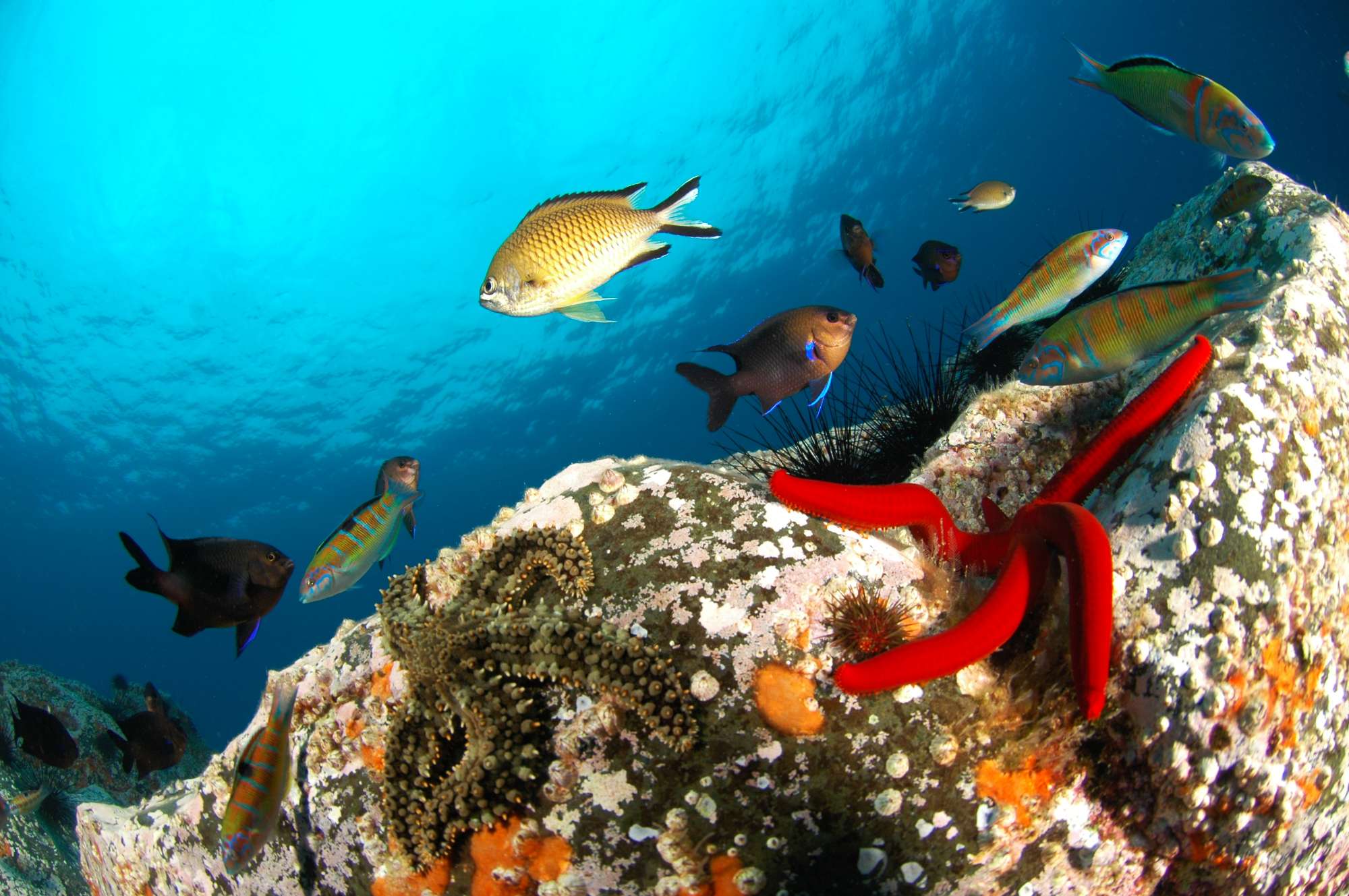 As vistas da Madeira - The Views Hotels