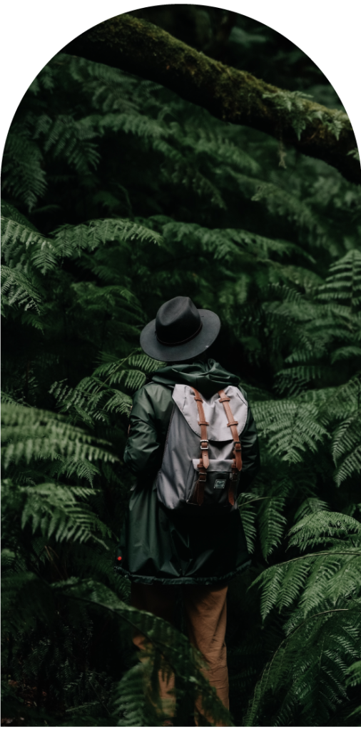 Person with a backpack and hat stands amidst lush green ferns and trees.