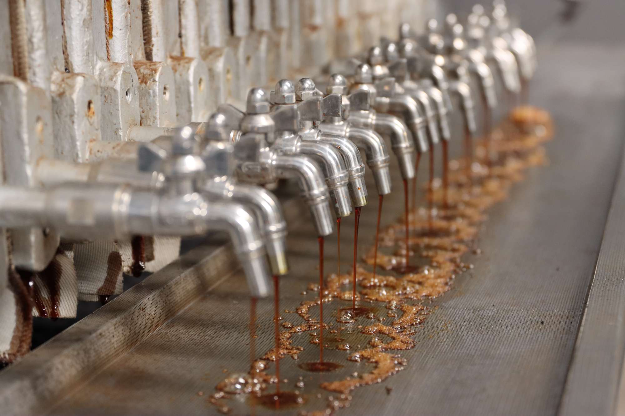 As vistas da Madeira - The Views Hotels