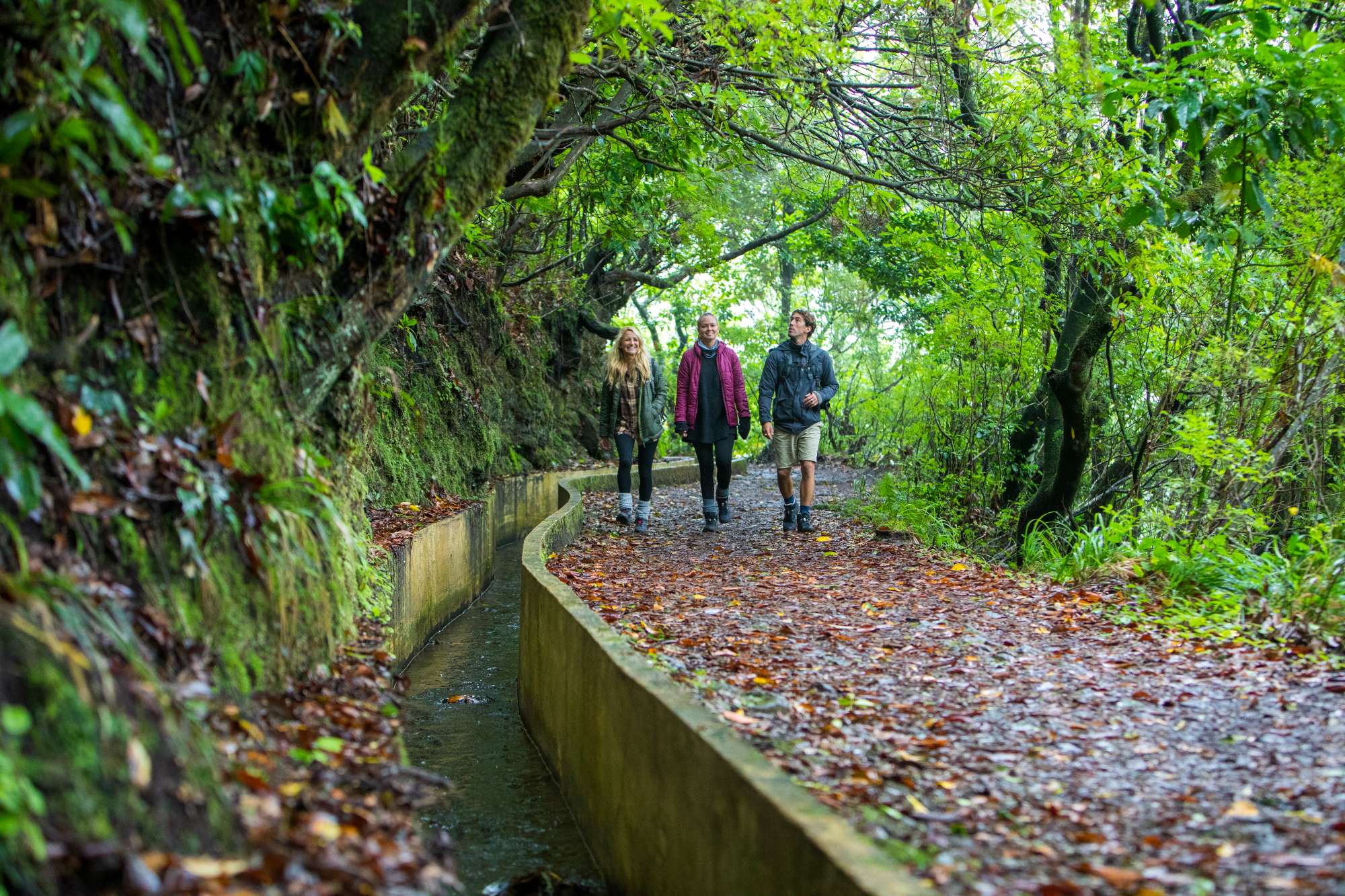 As vistas da Madeira - The Views Hotels