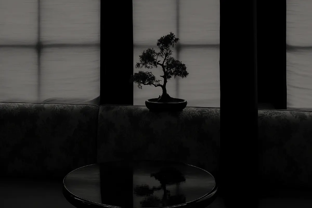 Small bonsai tree silhouetted against a window.