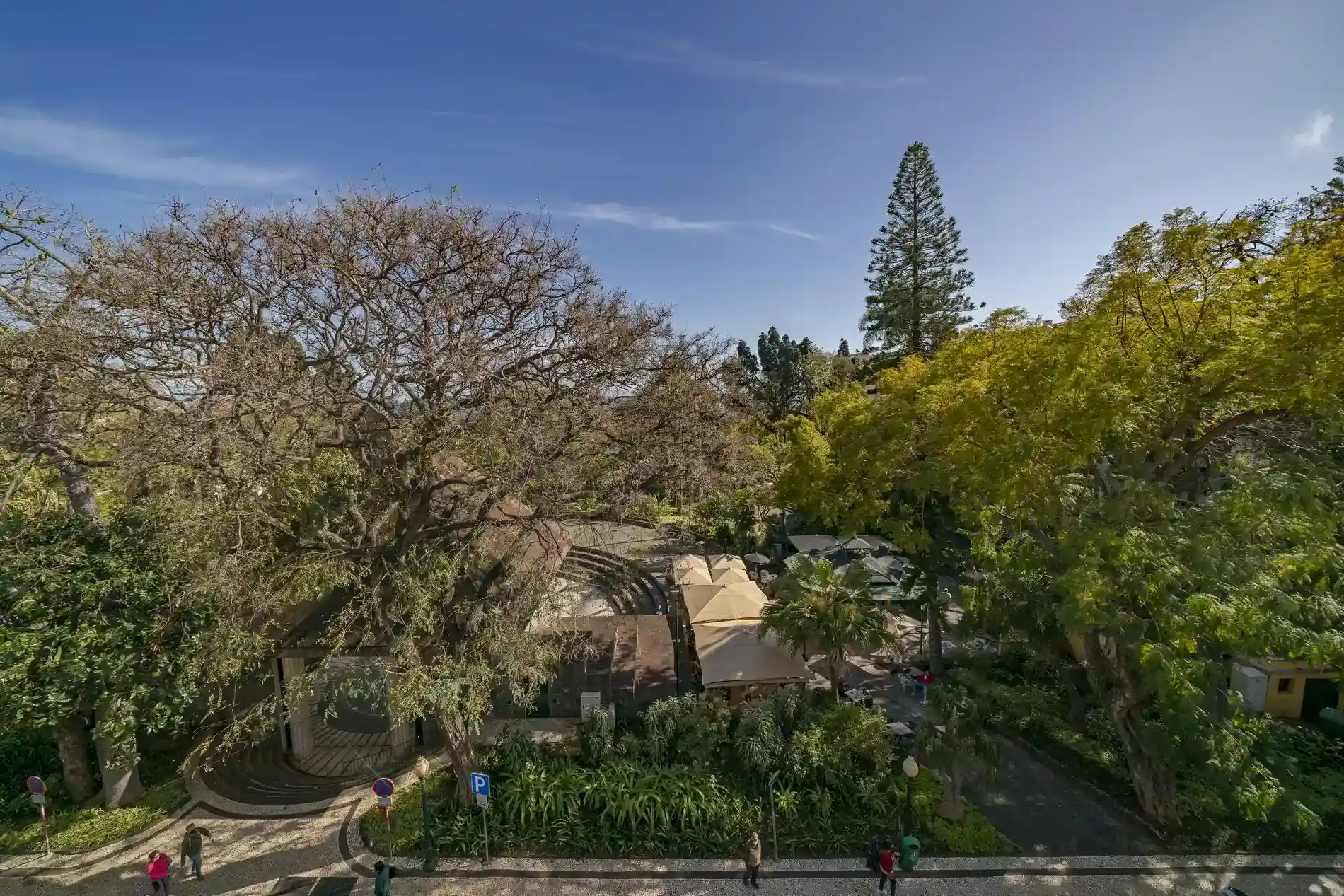 Aerial view of a park with trees, pathways, and people strolling under a clear sky.