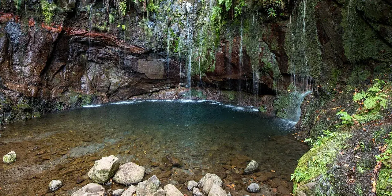Waterfall cascading into a rocky pool surrounded by moss and ferns.