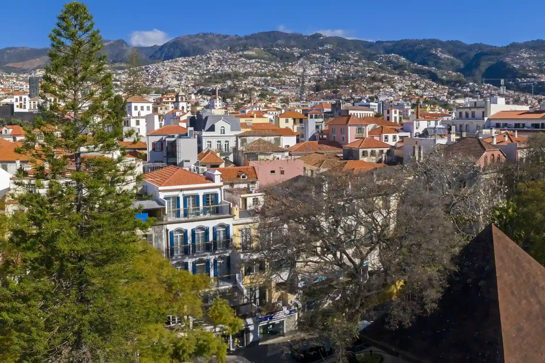 Colorful hillside town with red roofs and trees under a clear blue sky.