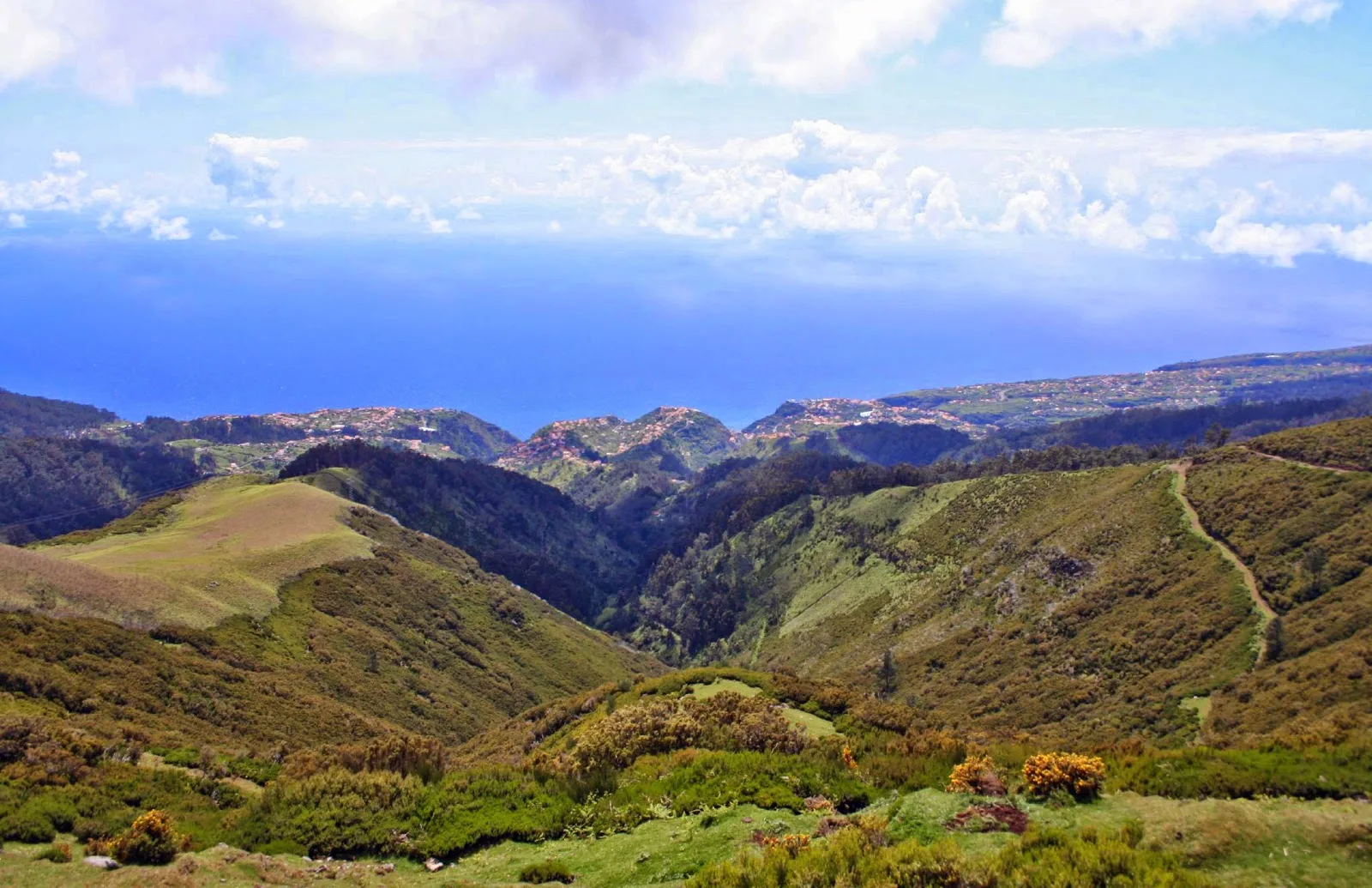 Green hills and valleys under a blue sky with ocean views.