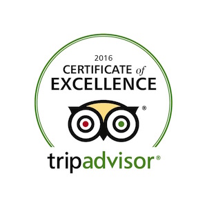 Tripadvisor 2016 Certificate of Excellence logo.