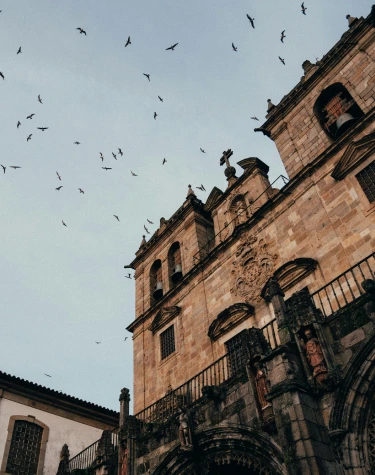 Catedral antiga com aves voando no c&eacute;u.