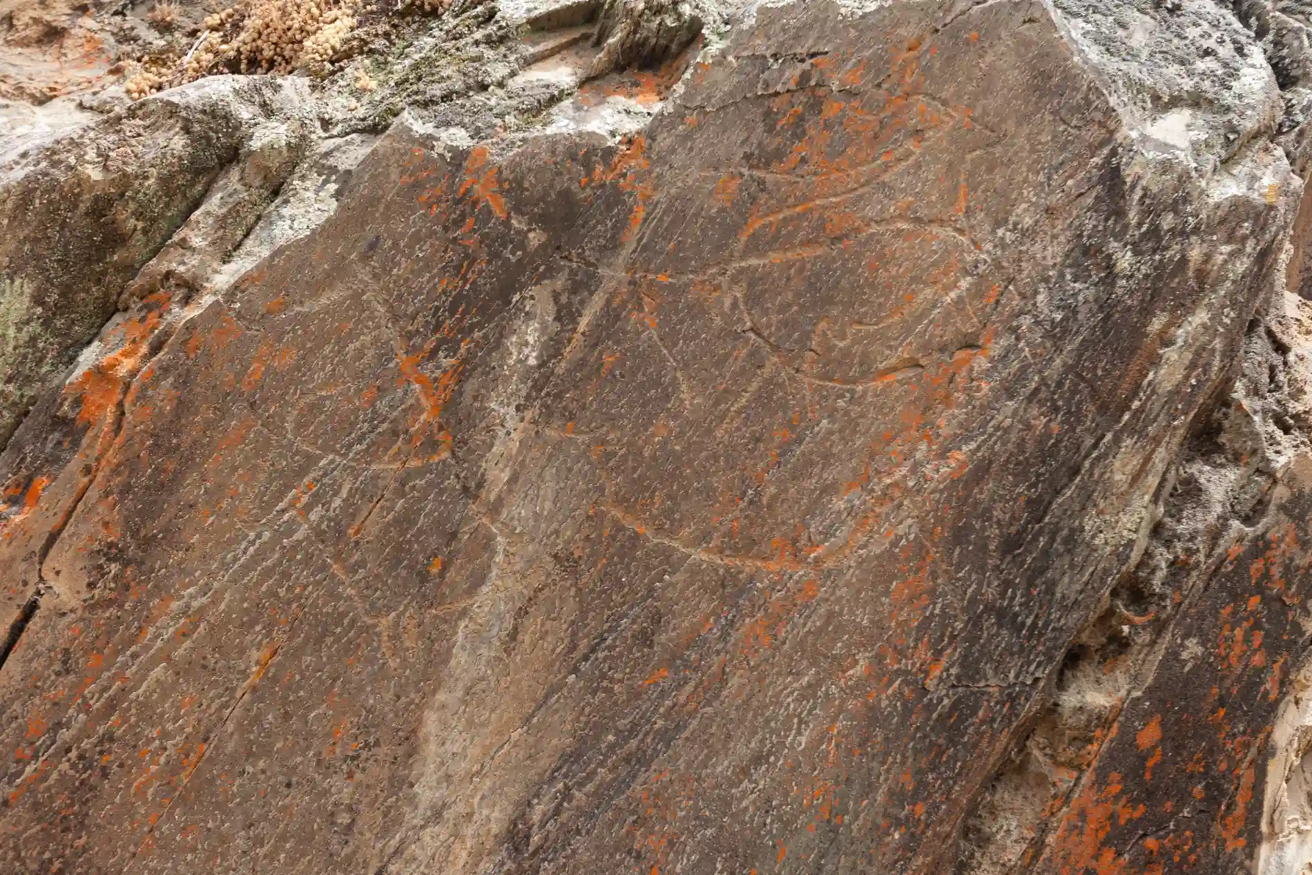 Superf&iacute;cie de rocha gravada com desenhos petroglifos e manchas de l&iacute;quen alaranjado.
