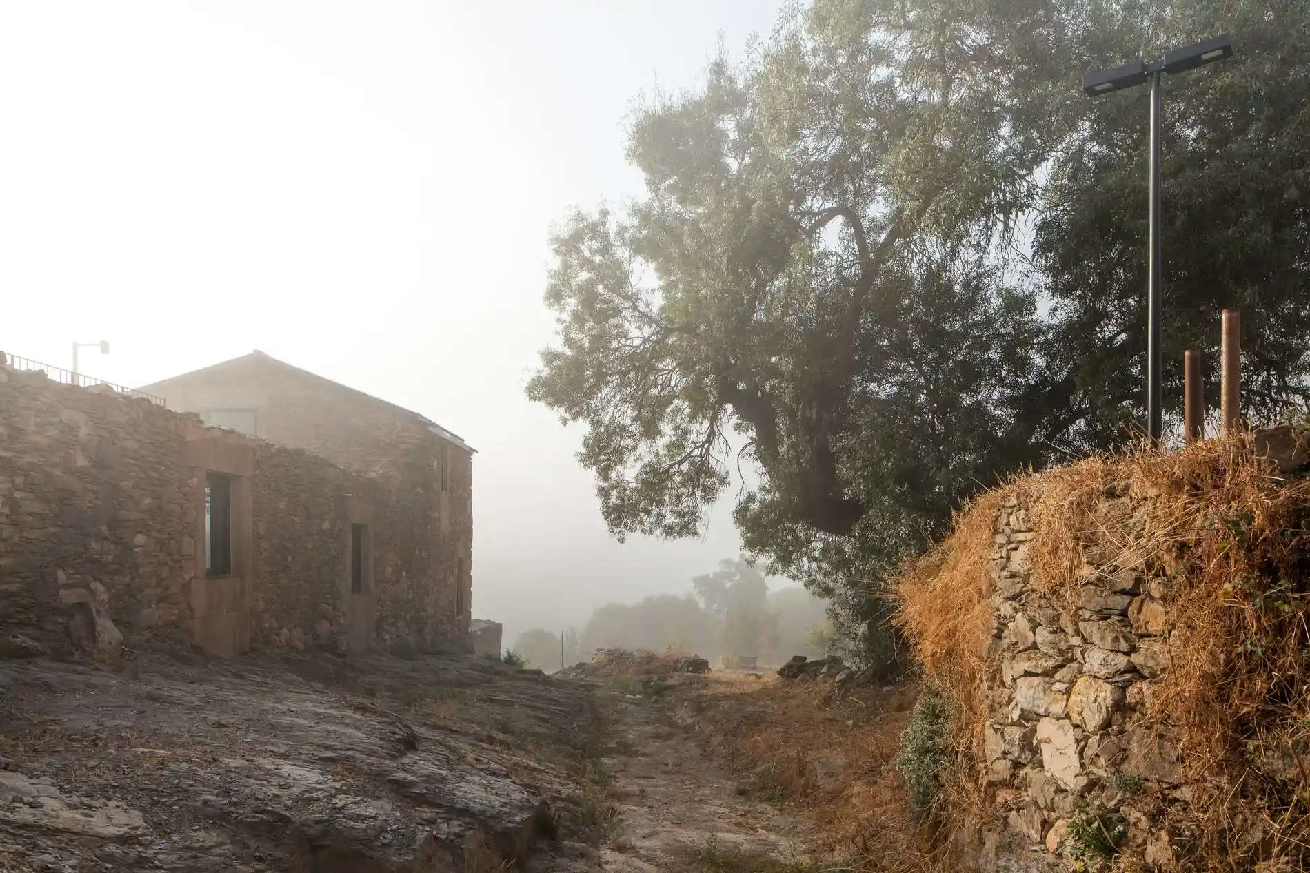 Casa de pedra ao lado de uma &aacute;rvore em paisagem rural enevoada.