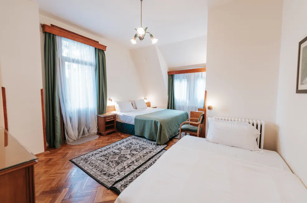 Cozy room with two beds, green curtains, and a decorative rug.