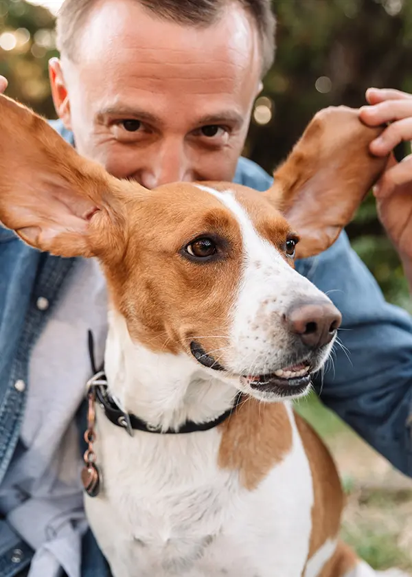Persona jugando con las orejas grandes de un perro en un parque.