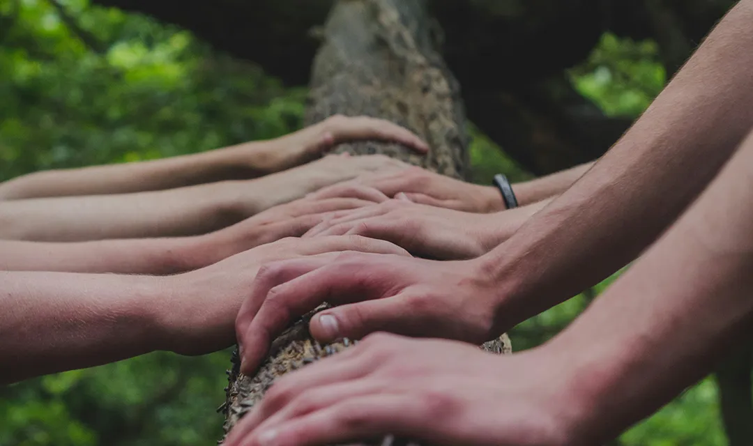 Manos unidas sobre un tronco en un entorno natural.