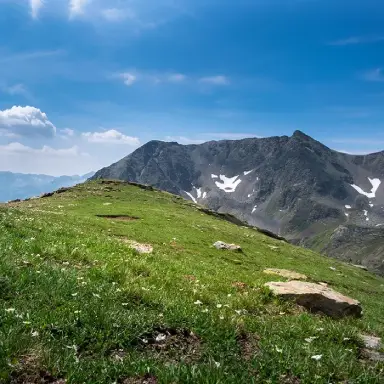 Pradera verde con monta&ntilde;as nevadas y cielo azul de fondo.