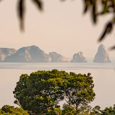 Vista de islas rocosas en el mar, enmarcadas por vegetaci&oacute;n borrosa.