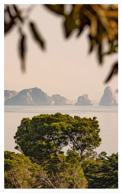 Vista de &aacute;rboles y monta&ntilde;as al fondo, en un ambiente natural y tranquilo.