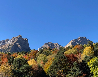 Monta&ntilde;as detr&aacute;s de un bosque colorido de oto&ntilde;o bajo un cielo despejado.
