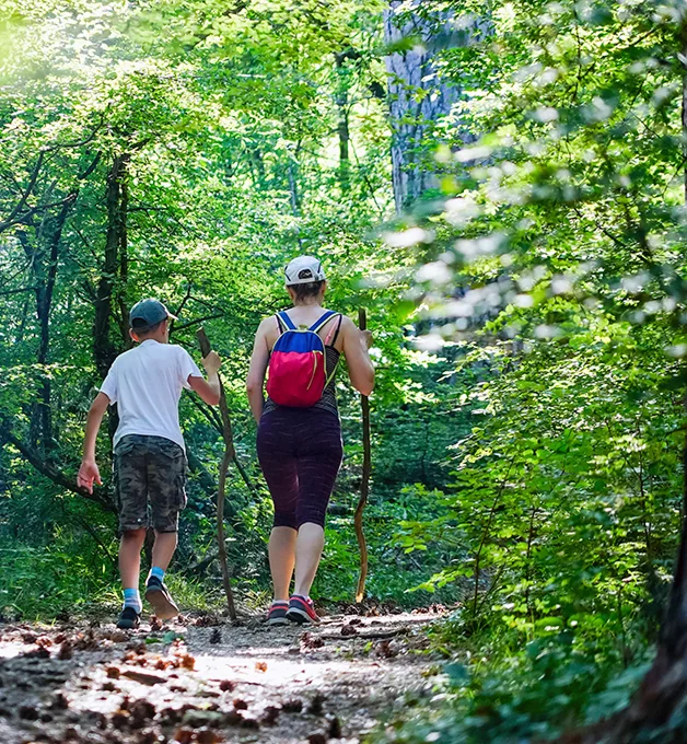 Personas caminando en un bosque con bastones de senderismo.