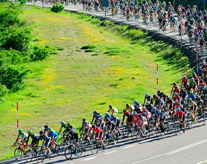 Grupo ciclistas compitiendo en una carretera junto a un &aacute;rea verde.