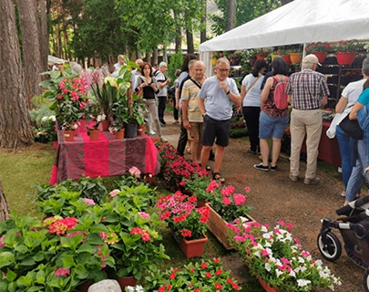 Personas recorren un mercado al aire libre con puestos de flores y plantas.
