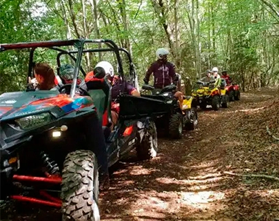 Grupo en cuatrimotos avanzando por sendero forestal.