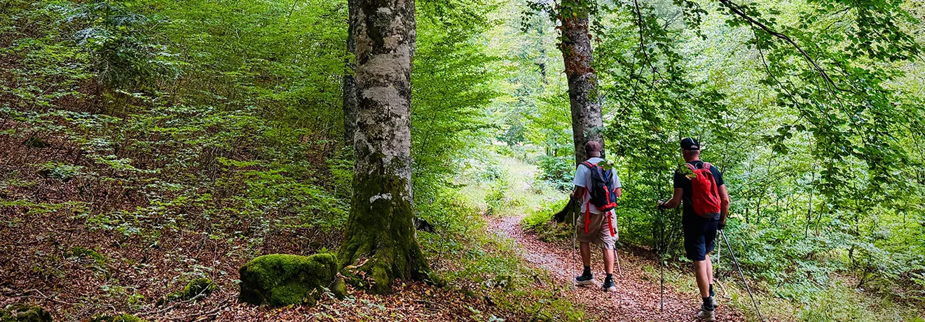 Dos personas caminando por un sendero boscoso con bastones de trekking.