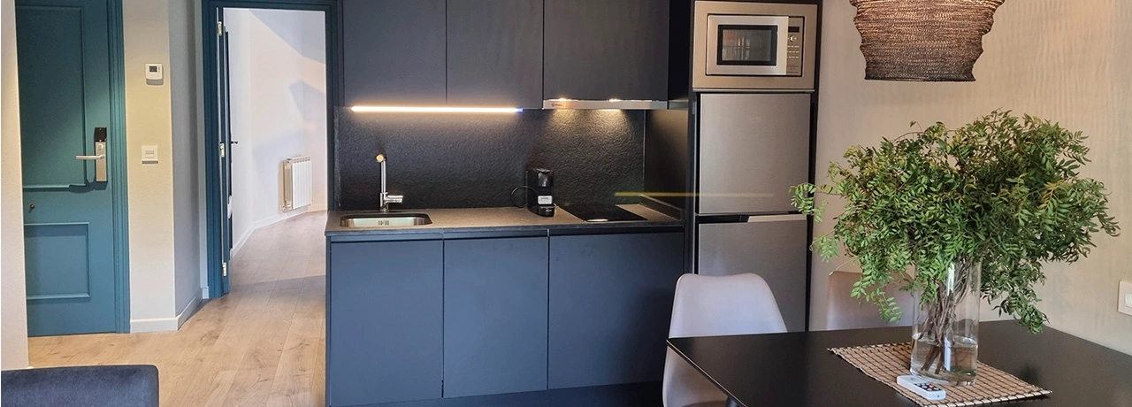 Cocina moderna con muebles oscuros, planta en la mesa y electrodom&eacute;sticos.