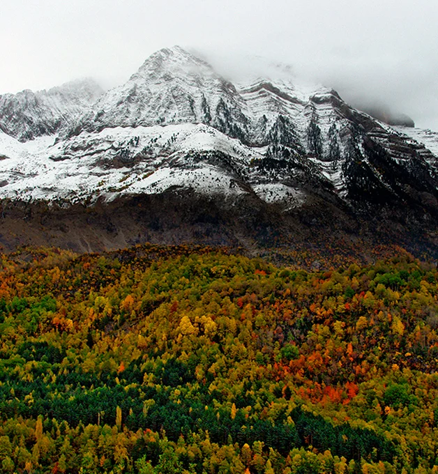 Montañas nevadas sobre un bosque colorido en otoño, bajo un cielo nublado.