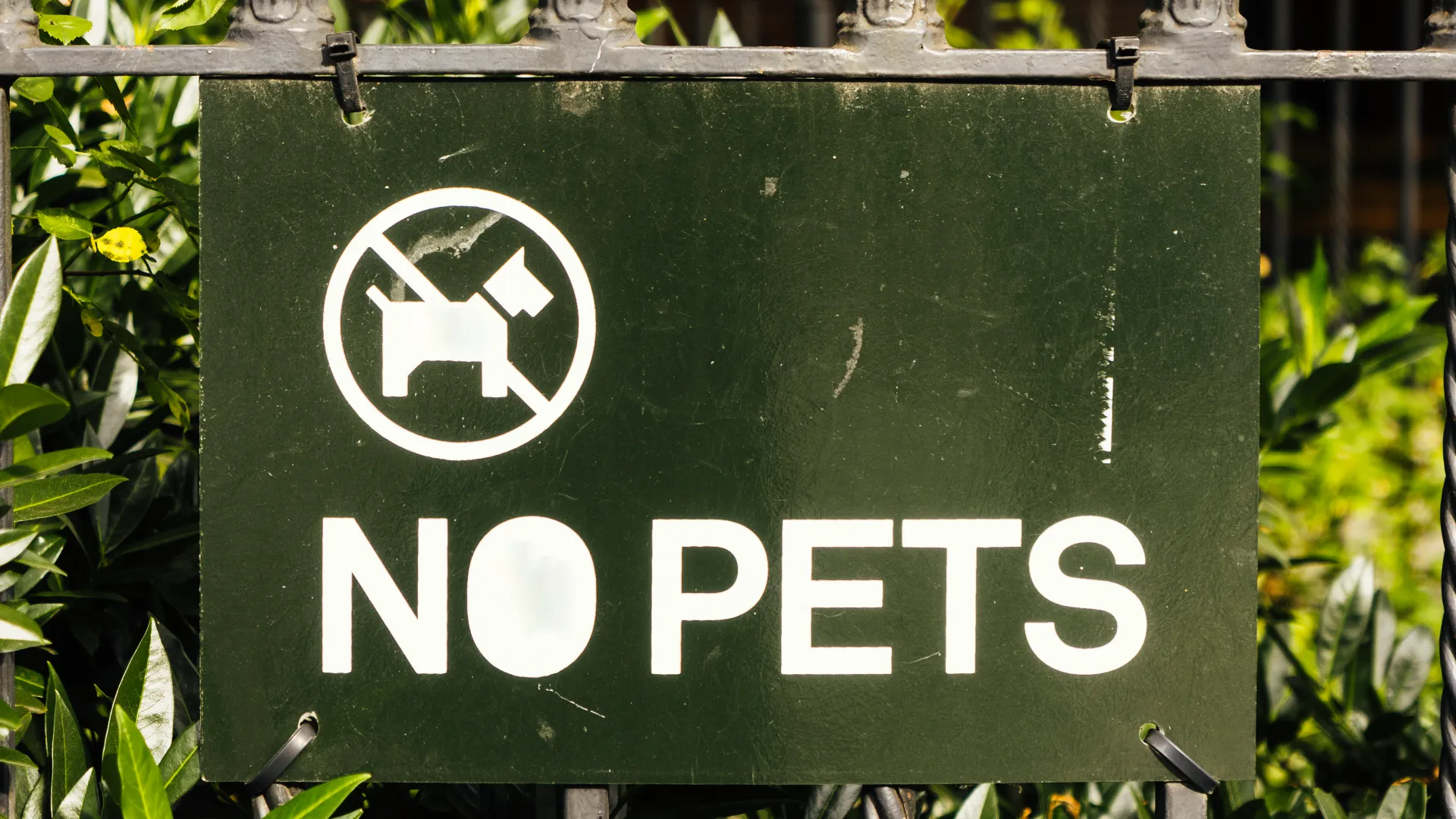 Servicios - Club Atlantico Lanzarote