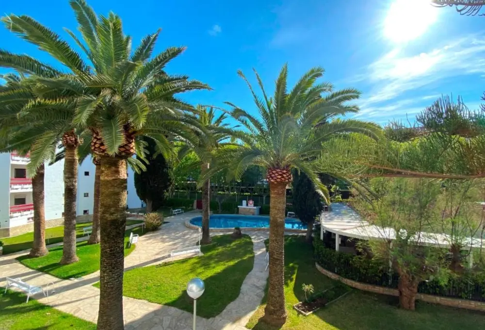 &Aacute;rea ajardinada con palmeras, piscina y edificios blancos.
