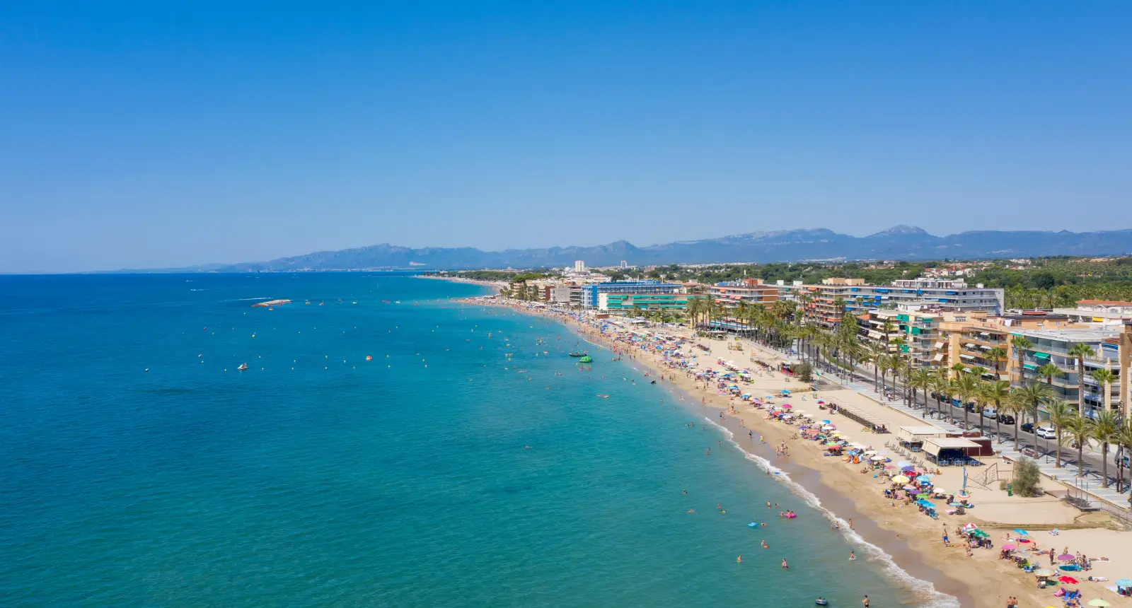 C&oacute;rcega - Apartamentos Palmyra