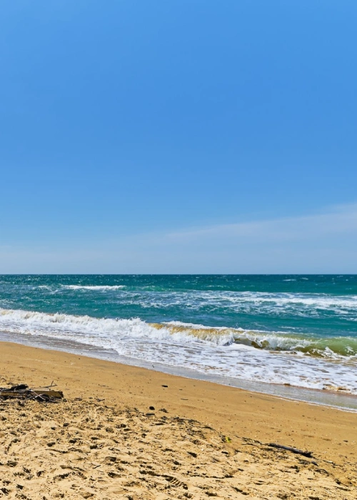 Playa y mar bajo un cielo azul despejado.