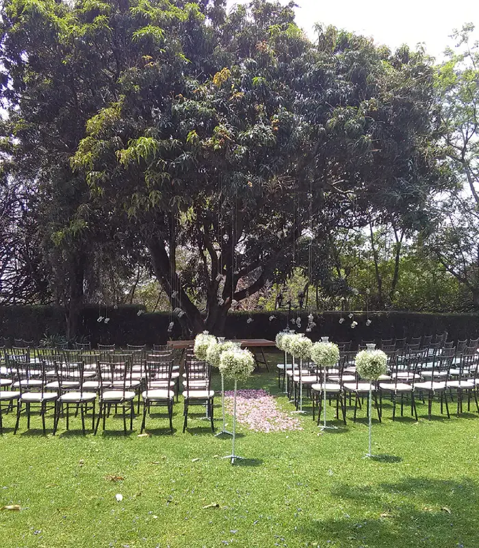Ceremonia al aire libre con sillas y decoraciones florales bajo un gran &aacute;rbol.
