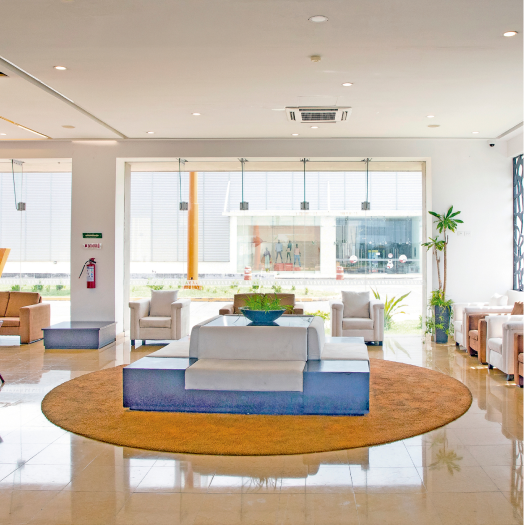 Sala moderna con sillones, alfombra amarilla y plantas junto a un ventanal grande.