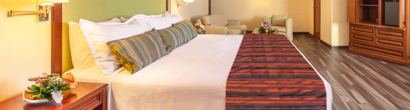 Francia Aguascalientes