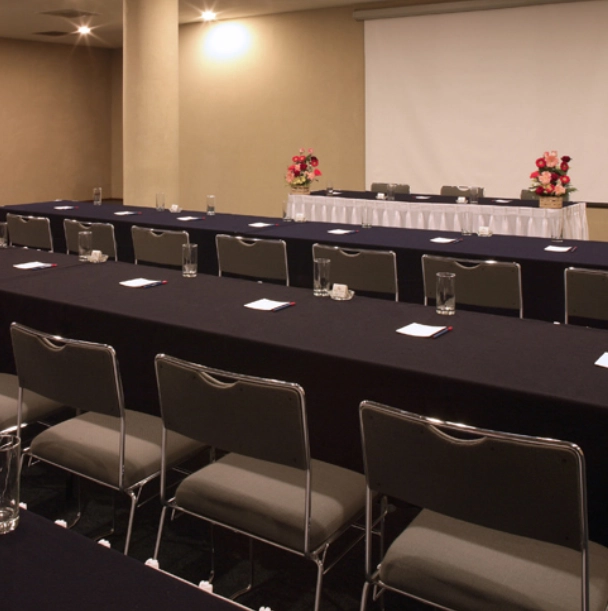 Eventos - Francia Aguascalientes