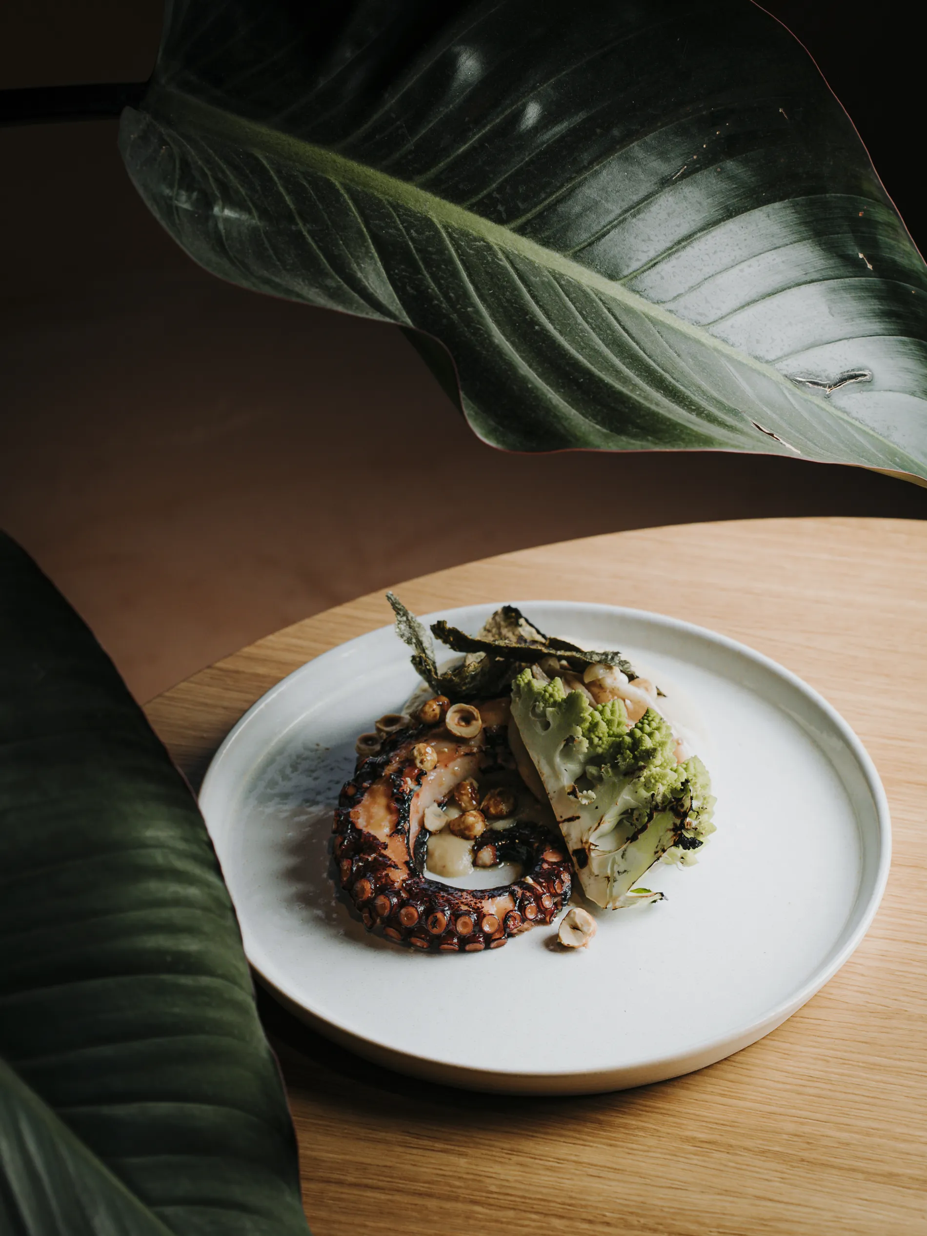 Prato com tent&aacute;culo de polvo e vegetais, adornado por folhas grandes em uma mesa de madeira.