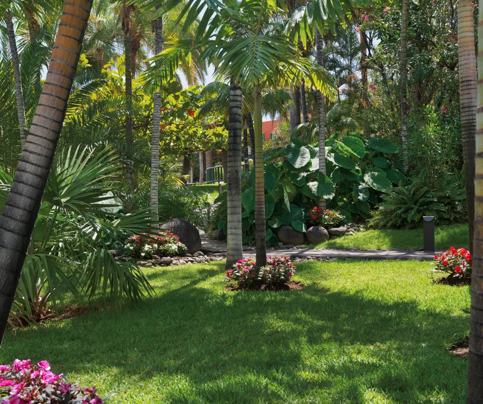 Jard&iacute;n tropical con palmeras y flores sobre c&eacute;sped verde.