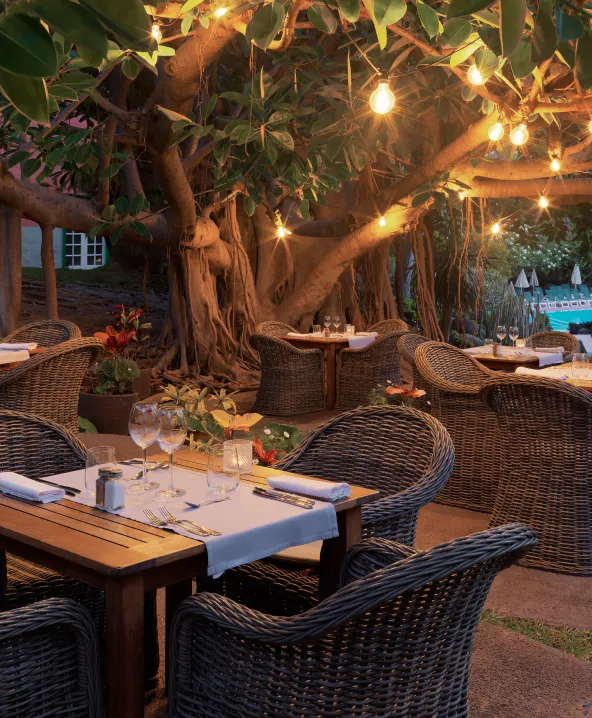 Mesa al aire libre bajo &aacute;rbol con luces, sillas de mimbre y decoraci&oacute;n elegante.
