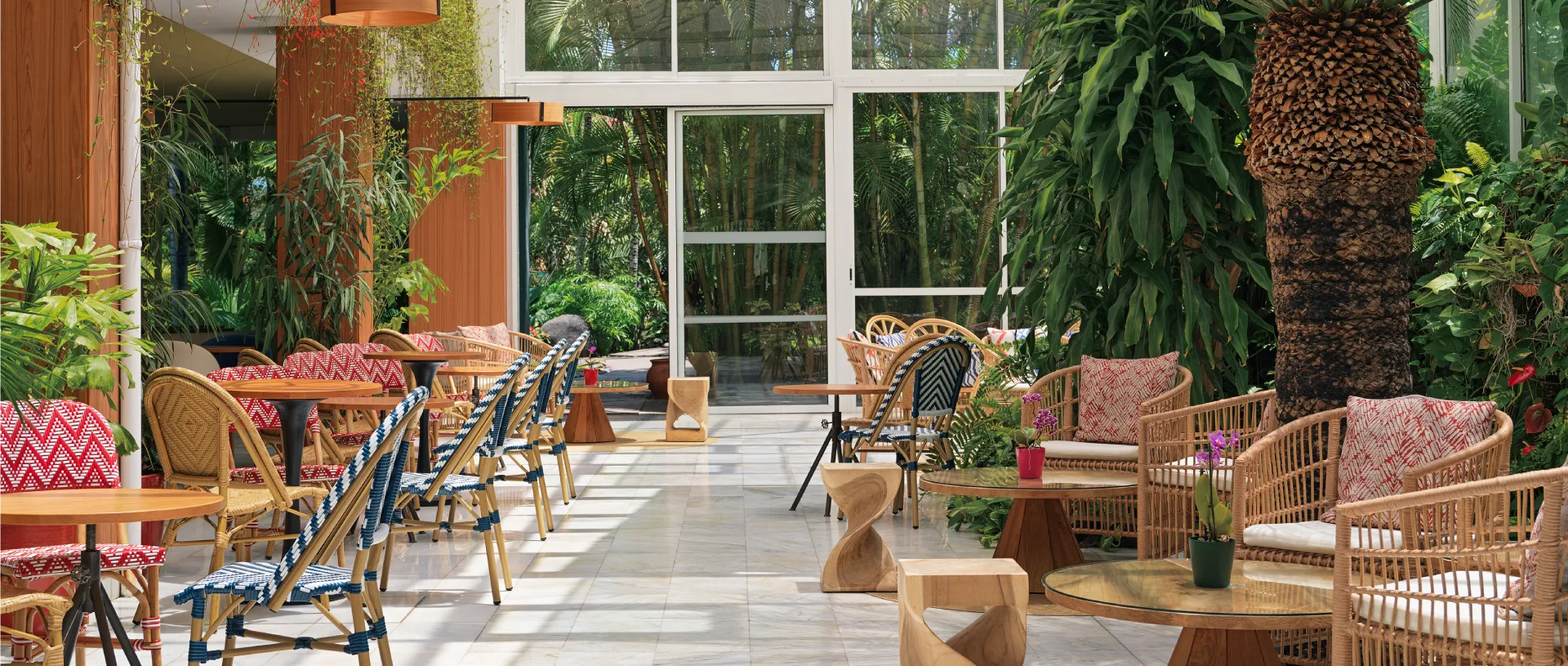 Cafeter&iacute;a con decoraci&oacute;n natural y sillas de colores vibrantes.