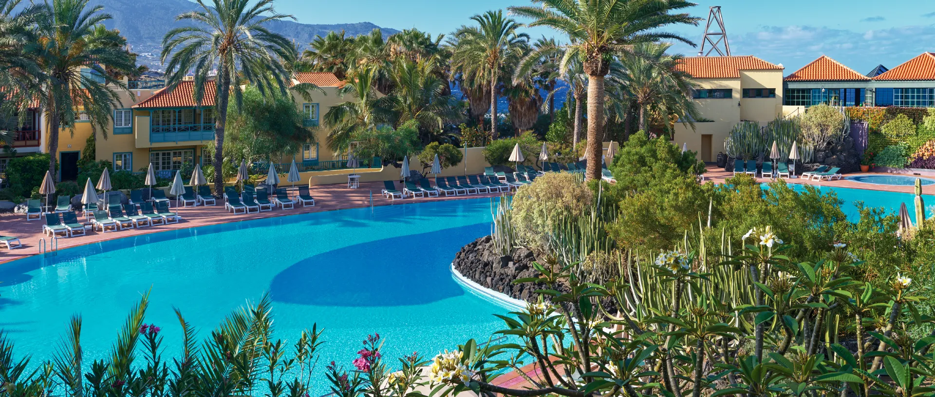 Piscina rodeada de palmeras y tumbonas en un complejo vacacional.