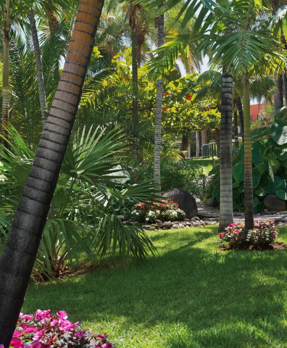 Jard&iacute;n tropical con c&eacute;sped, palmeras y flores coloridas bajo el sol.