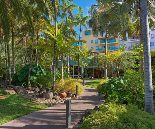 Sendero rodeado de palmeras y vegetaci&oacute;n con edificio de fondo.