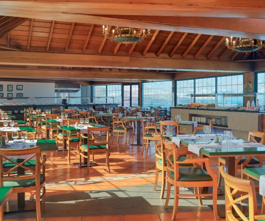 Restaurante luminoso con sillas verdes y techo de madera.