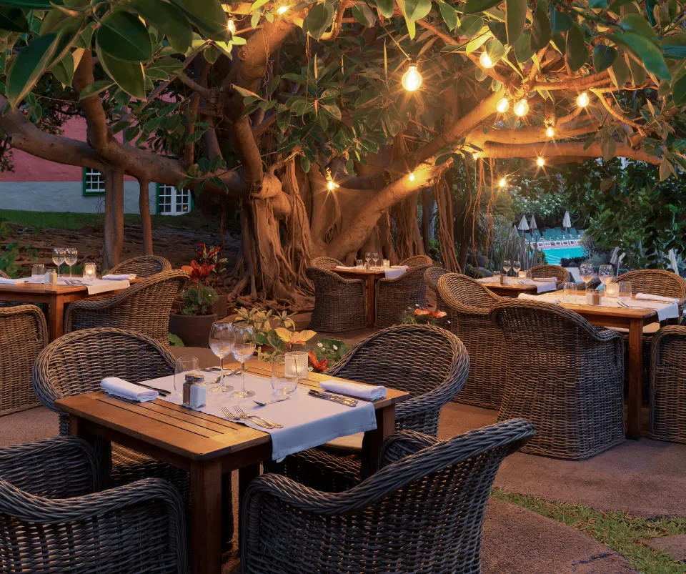 Terraza de restaurante al aire libre con luces y mesas decoradas bajo un &aacute;rbol.