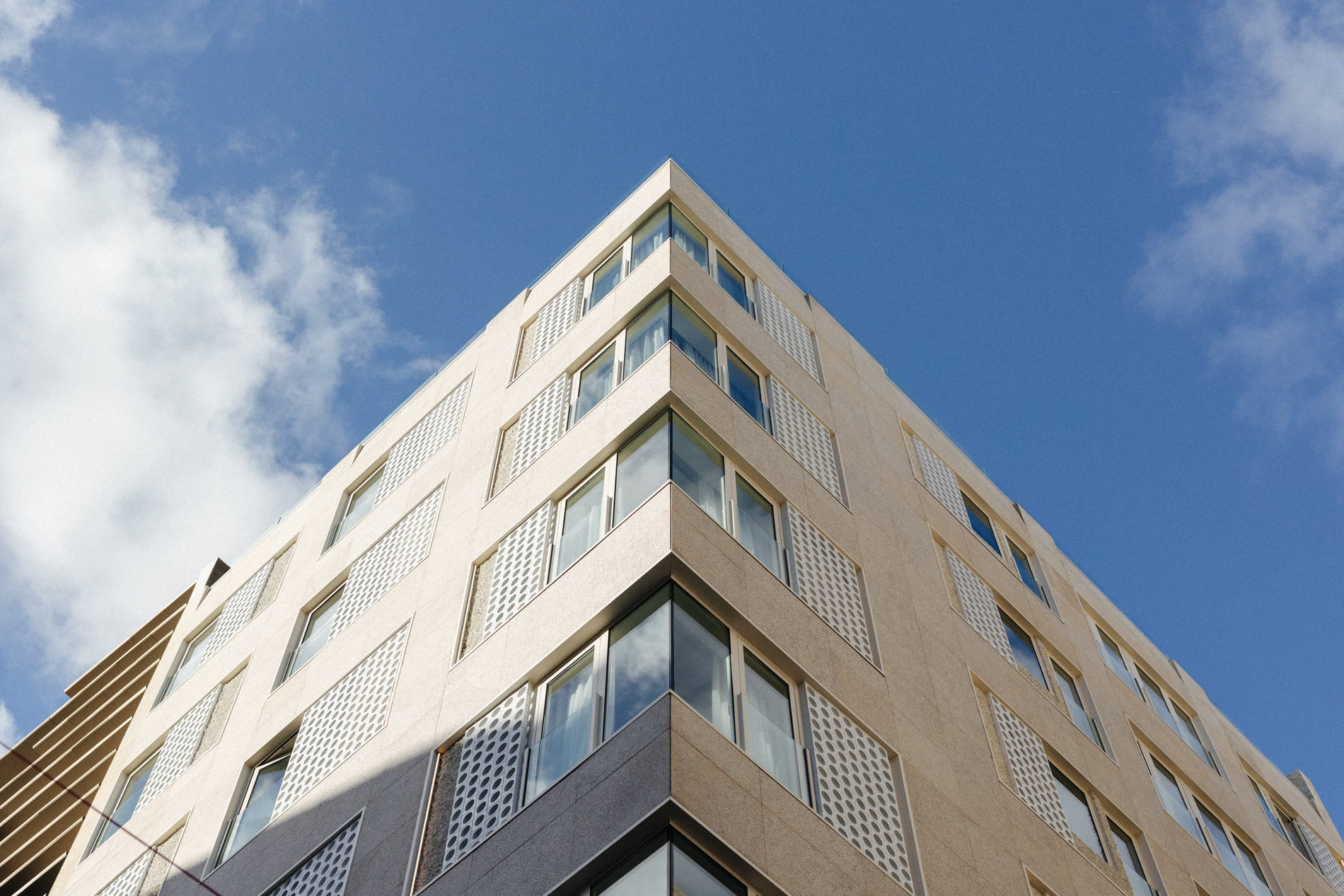 Blog - Taro Santa Cruz