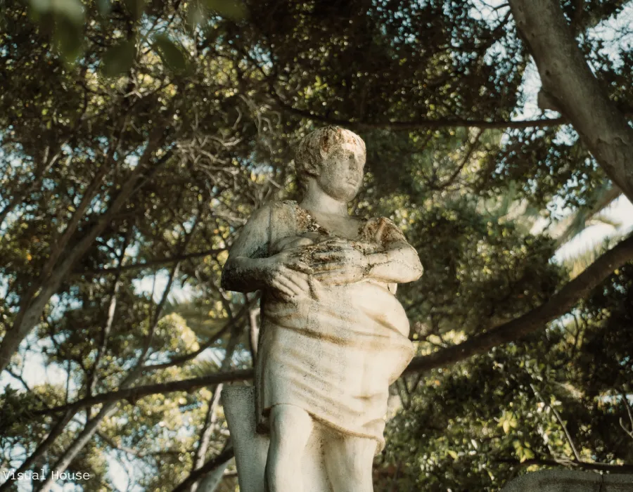 foto de Taro Santa Cruz