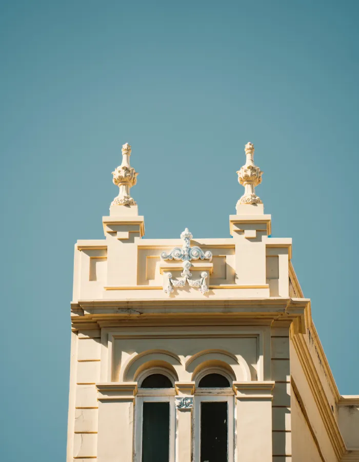 foto de Taro Santa Cruz