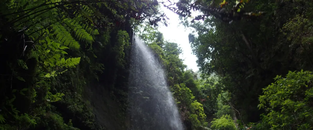 La Palma: the island of sustainable tourism - Princess Hotels