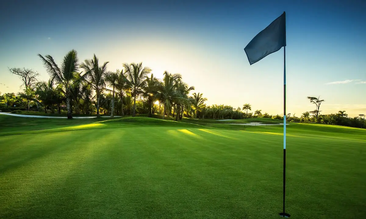 Campo de golf verde con palmeras y bandera al atardecer, cielo despejado.