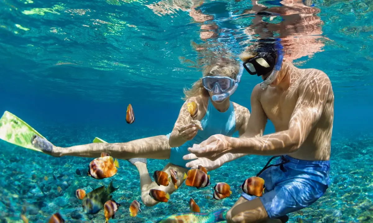 Pareja haciendo snorkel bajo el agua, rodeada de peces coloridos en el mar